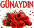 . gun1 .